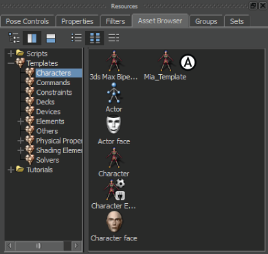 Customizing The 3ds Max Biped Template | MotionBuilder 2020 | Autodesk ...