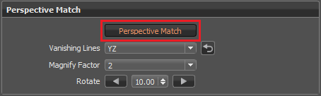 Perspective Match button