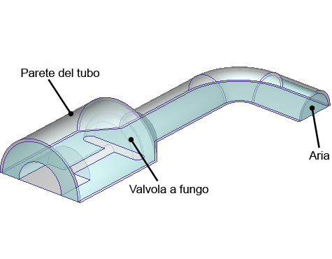 geometria della valvola