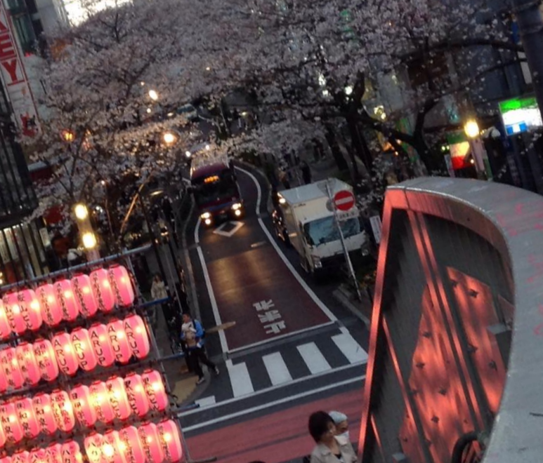 水平方向に傾いたバックプレート