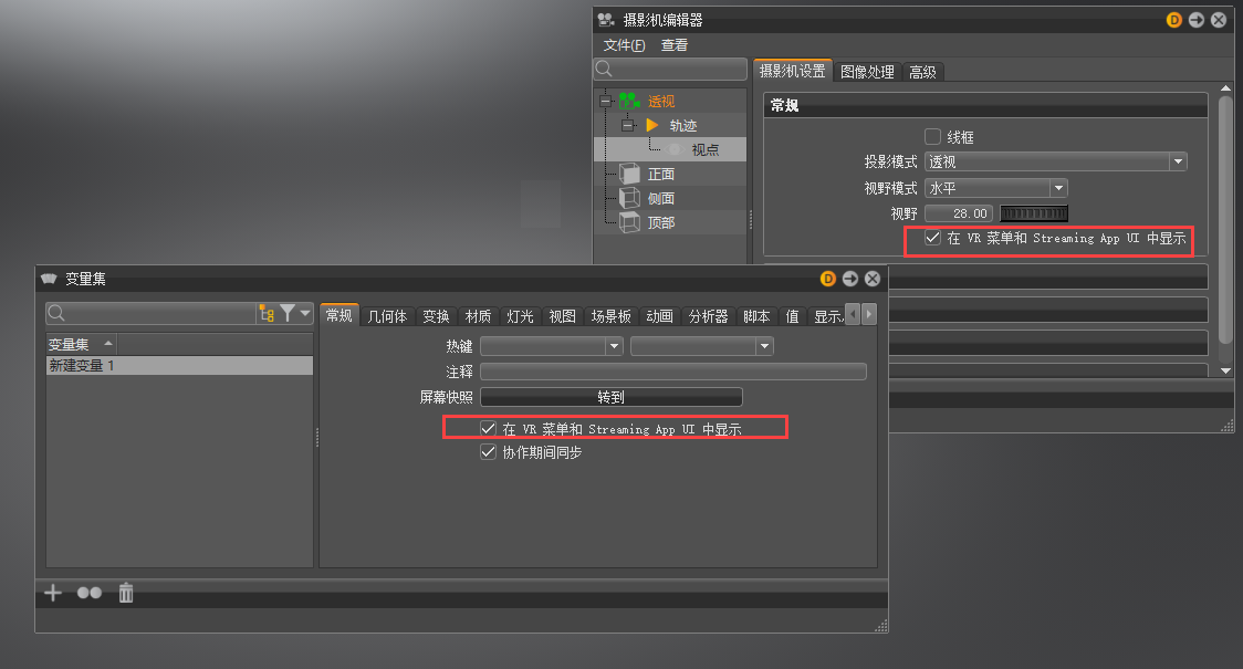 显示“在 VR 菜单和流式传输应用程序 UI 中显示”选项的摄影机编辑器和变量集