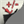 preferencesgtconstructionoptions