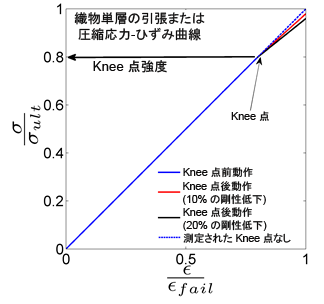 knee strength