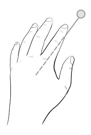 レーザー ポインタで指し示す