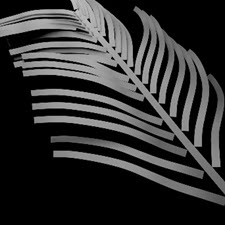 Rendering Curves as Feathers