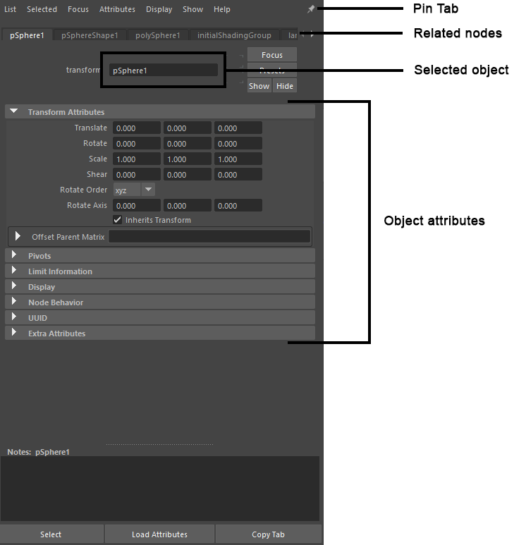 Attribute Editor: Hướng Dẫn Chi Tiết và Các Thủ Thuật Tối Ưu