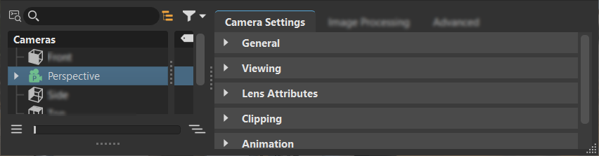 Camera attributes