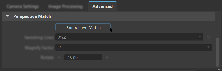 Perspective Match button