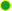 新規