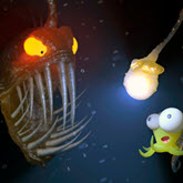 Learning Scene - Fish
