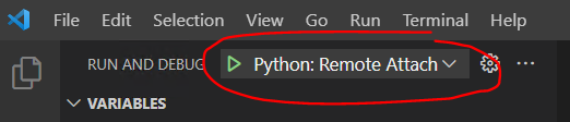 Debug Config