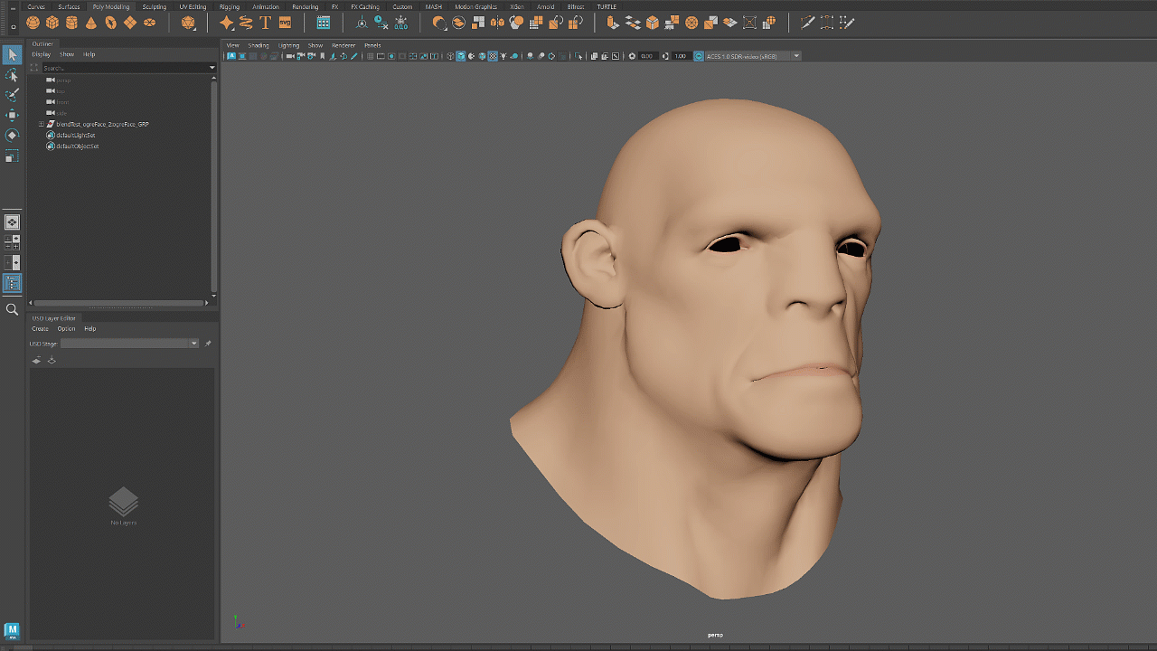 gif for blendShape import