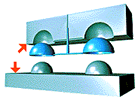 mold