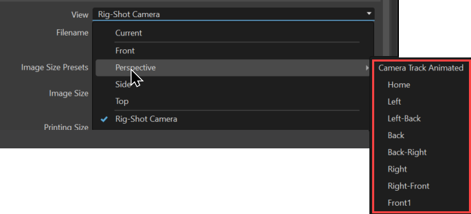 camera view list