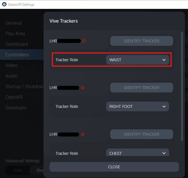 StreamVR Settings for assigning roles