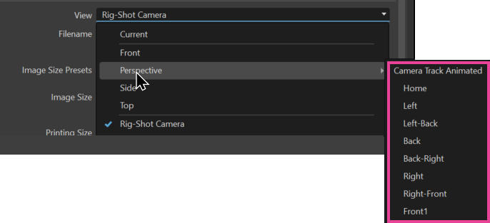 camera view list