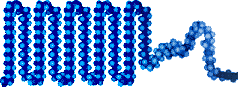 crystalline