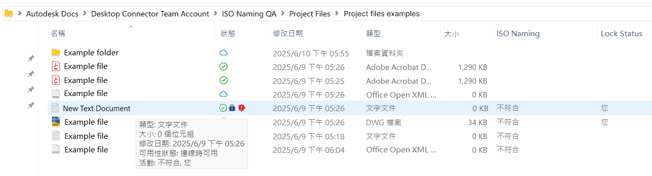 命名標準檔案總管