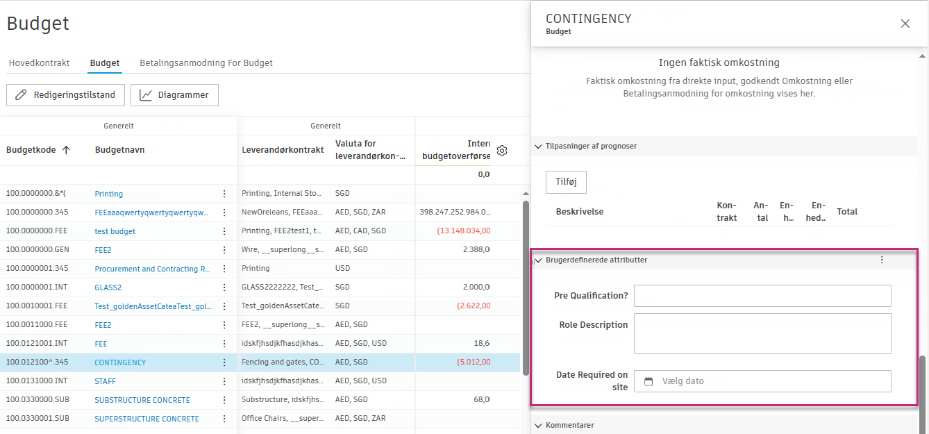 Detaljepanel, der viser afsnittet Brugertilpassede attributter med flere attributfelter til indtastning af data
