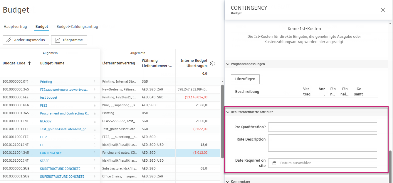 Gruppe Details mit Abschnitt Benutzerdefinierte Attribute und mehreren Attributfeldern zur Dateneingabe