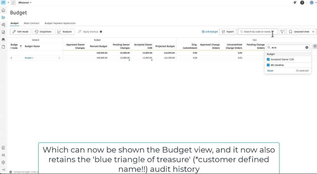 Budget column settings with Accepted Owner COR selected to show in the table