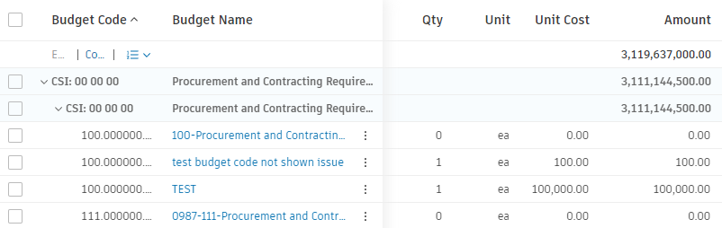 Budget example with unit, quantity, unit cost and amount fields