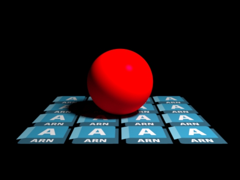 render example