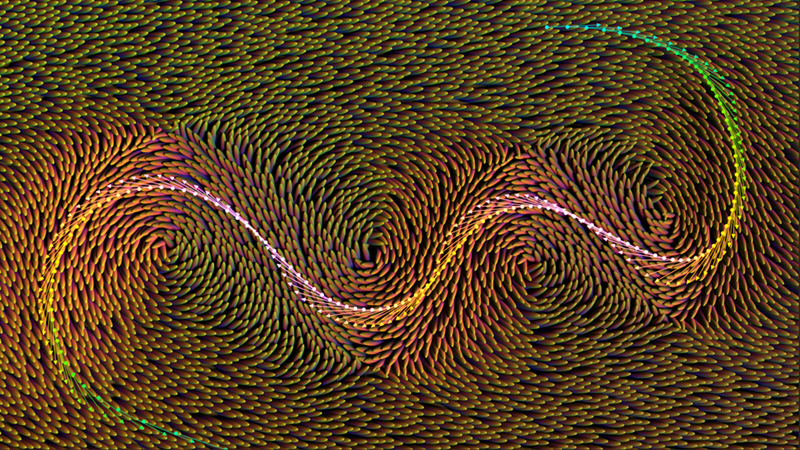 A Maya curve imported as a strand and used to generate a field