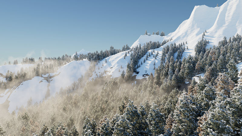 Trees and snow on a mountainside
