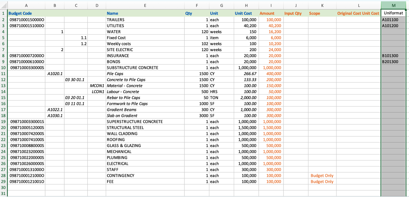 Budget import template with optional classification code columns