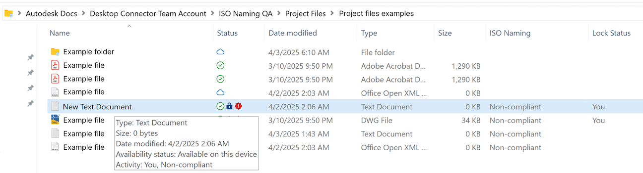 naming standards file explorer