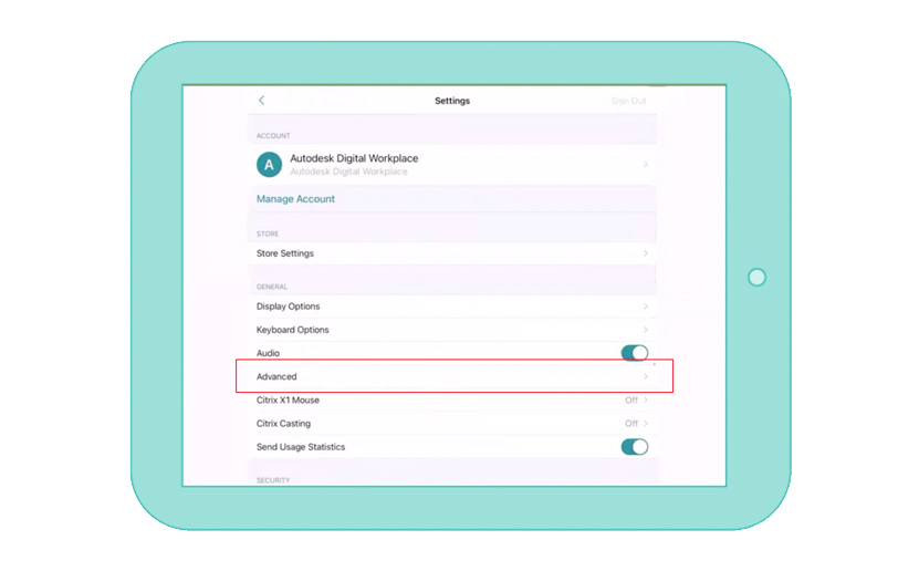 Citrix Settings