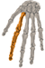 Effector Node Icon