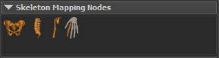 Skeleton Mapping Nodes
view