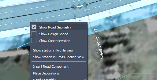 Show Road Geometry