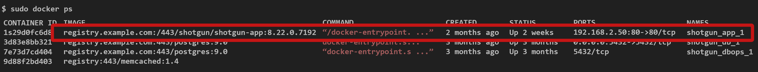 list of docker containers and info