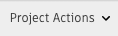 Project Actions