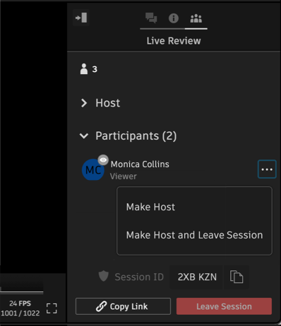 image of the make host menu in Live Review