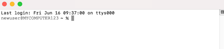 The Terminal is now open