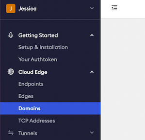 Sign into ngrok and go to Domains