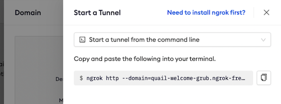 Generate your ngrok URL