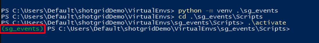 Activate the virtual environment