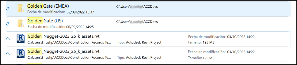 Vista del Explorador