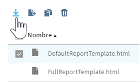 Descargar una plantilla de informe de Nesting