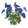 Pensamientos (azul)