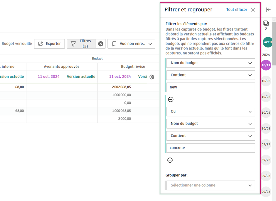 Interface des options de filtre de données dans la vue des captures de budget