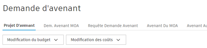 Options de modification du budget et du débours