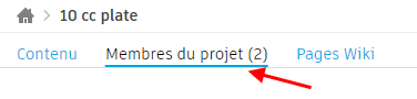 onglet Membres du projet