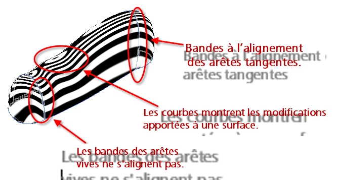 transitions des zébrures