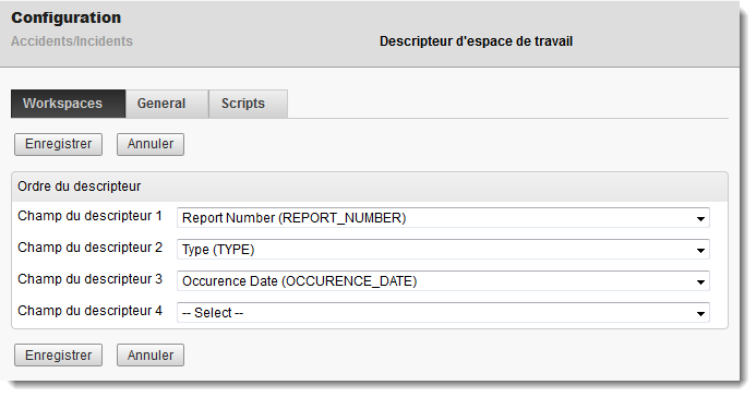 Exemple de champs de descripteur renseignés